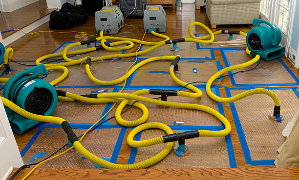 Professional Crawl Space Water Removal technician working in Dawson, MN